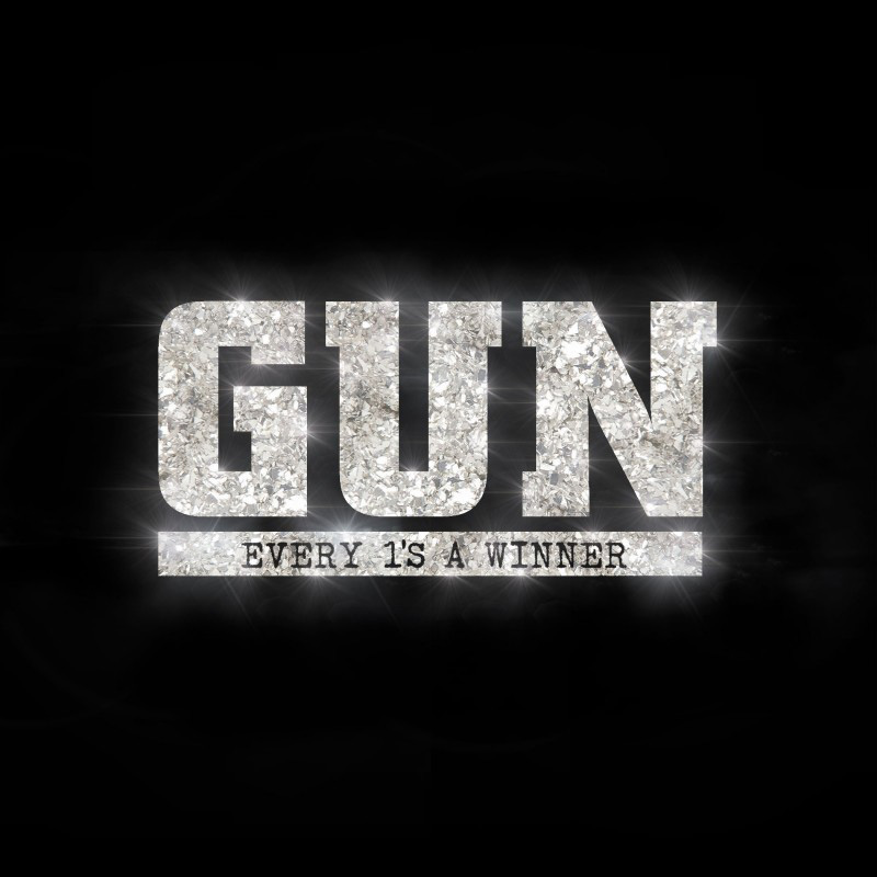 Gun